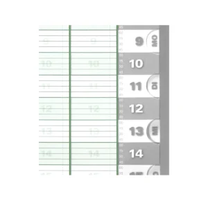 Tages-Terminbuch Ringbucheinlagen, 20 Spalten, Detailansicht