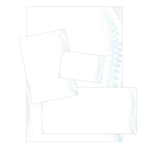 Geschäftsausstattung in verschiedenen Formaten (A4, A6-Zettel, Visitenkarte) mit einer blauen Wirbelsäule als Design-Element am rechten Rand.